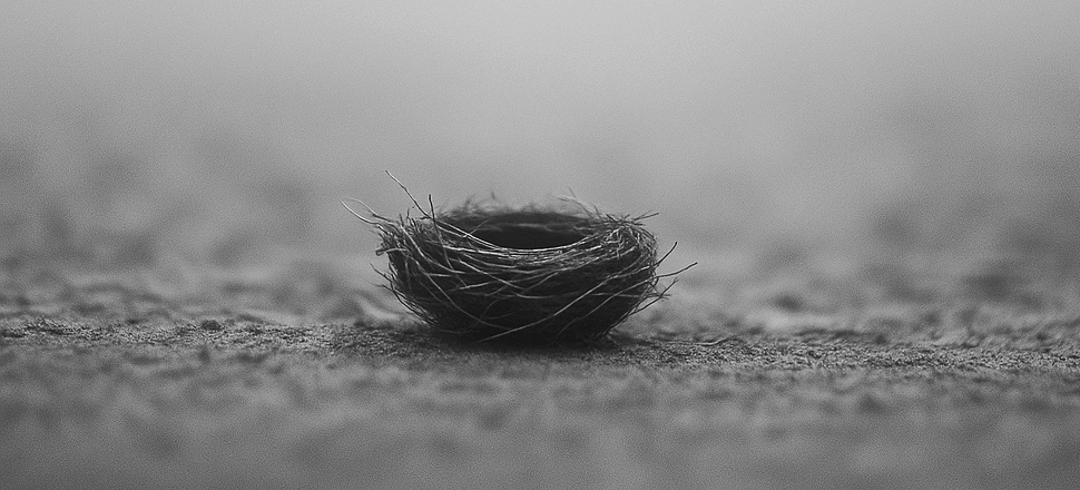 Laboratório de Escrita Criativa