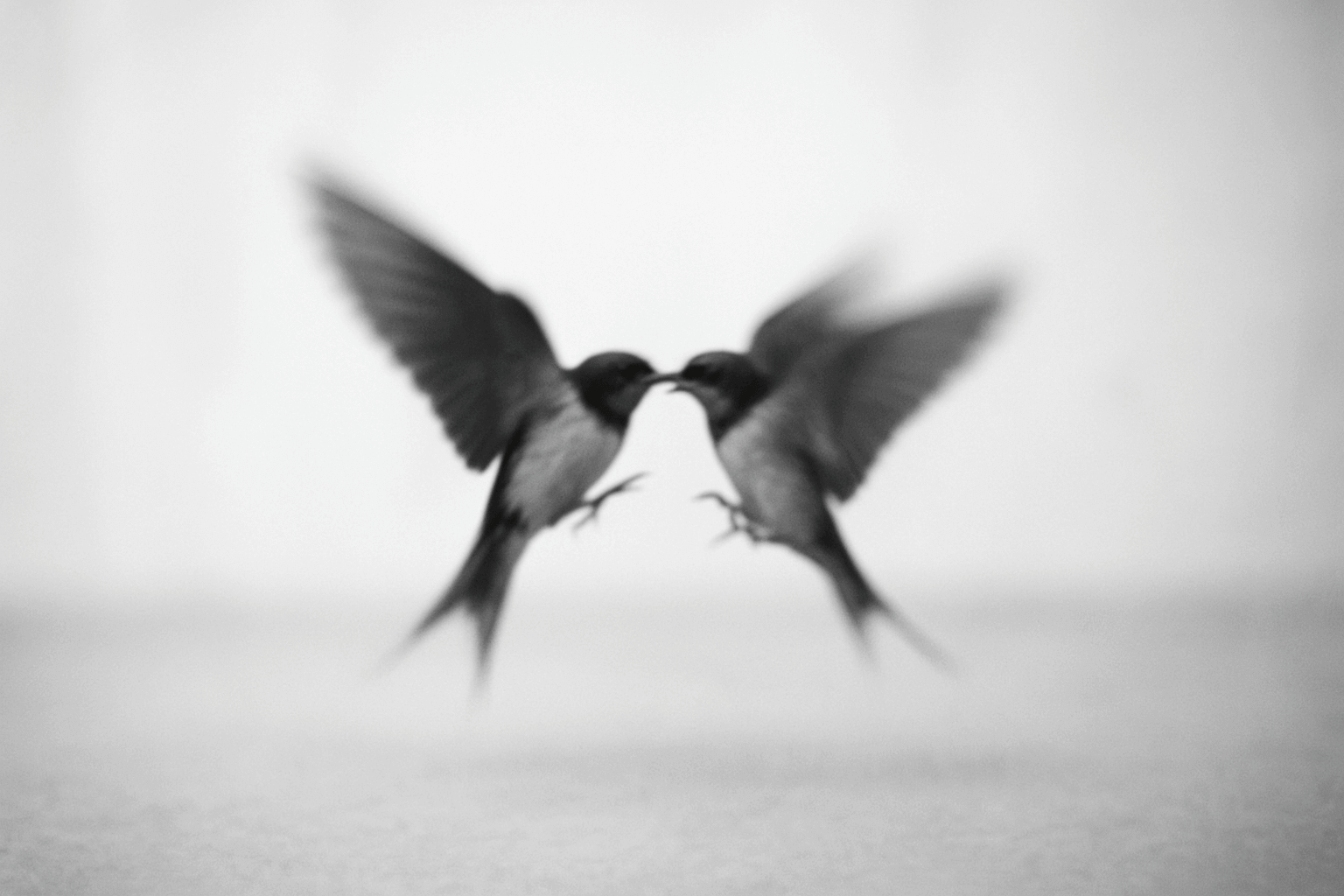 Trabalhos Colectivos